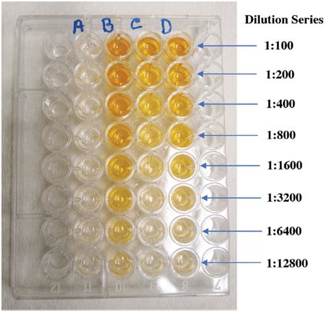 elisa result interpretation